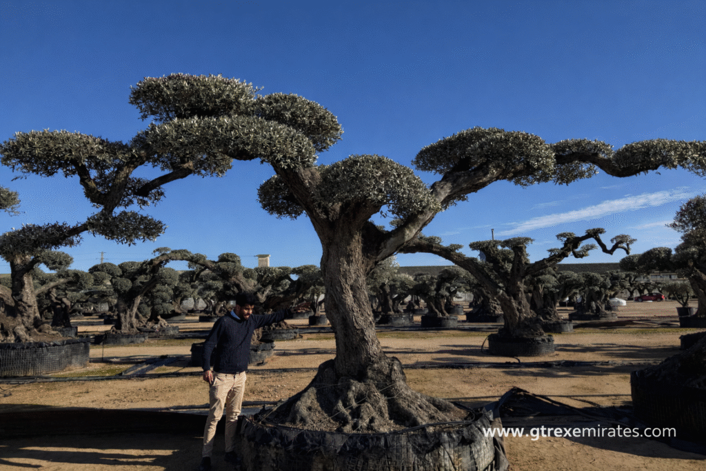 Home 3d1ec566 B78d 487e 8799 1cc332a7c668 1 1024x683